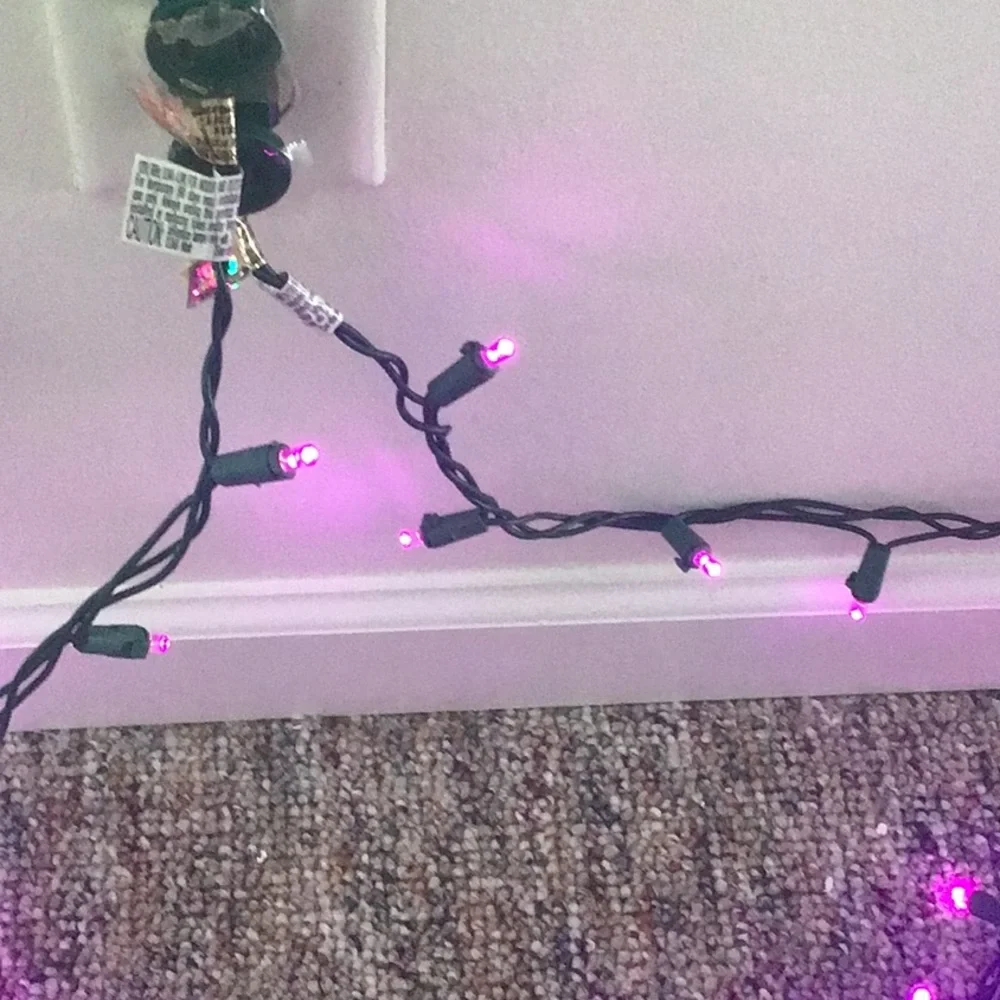 Bright Purple pink light strand 1 left!!!